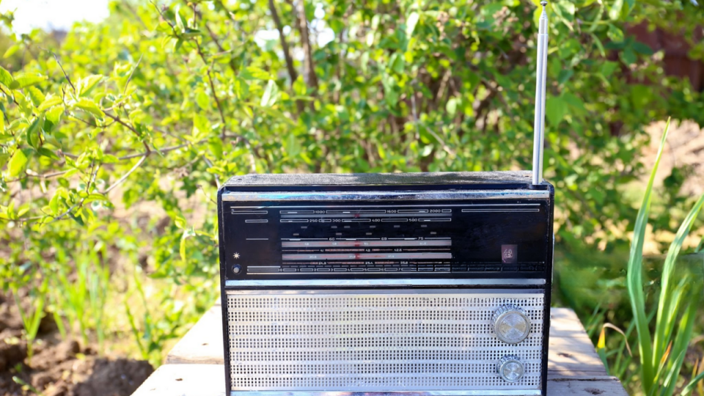 Radio Electronic Enclosure