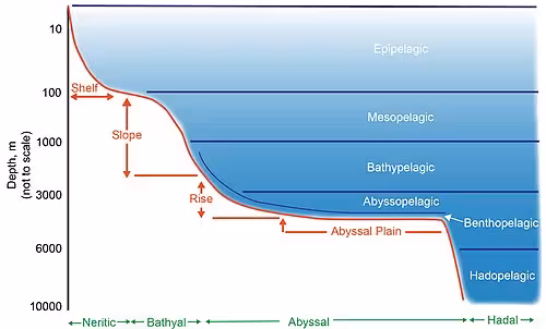 Check Valve Qualification for Subsea Manifold Applications in Deepwater Oil and Gas Fields 2 endurance expectations in deepwater service