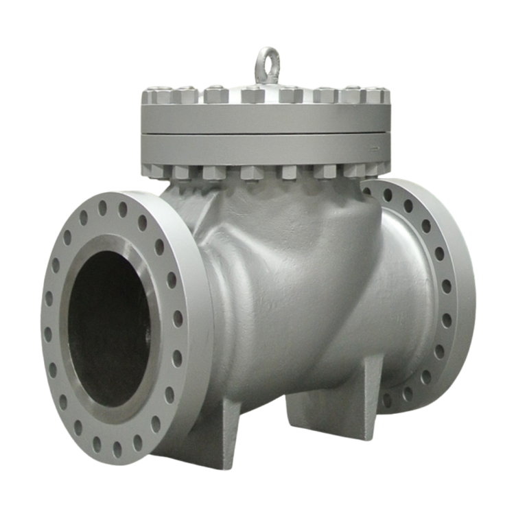 Check Valves1