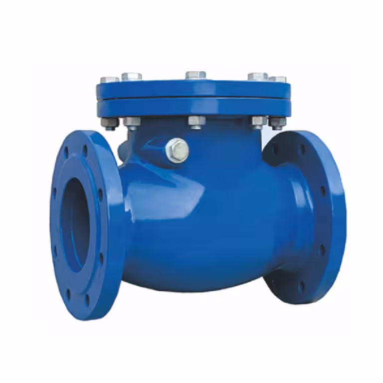 Check Valves2