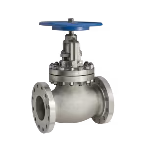 Globe Valves