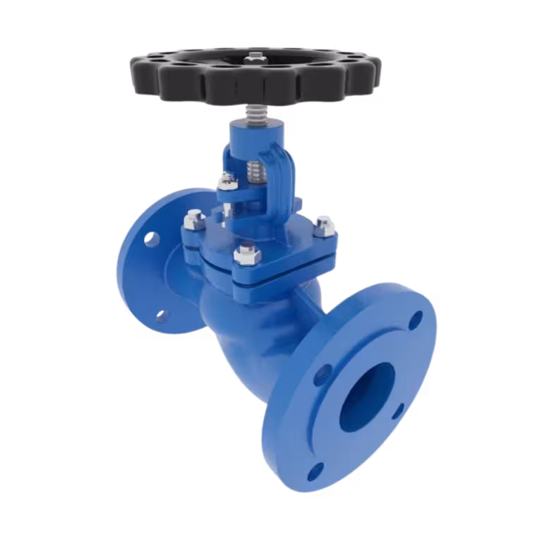 Globe Valves1