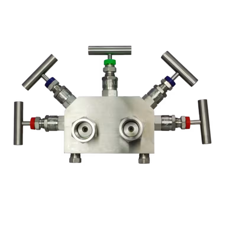 Manifold Valves1